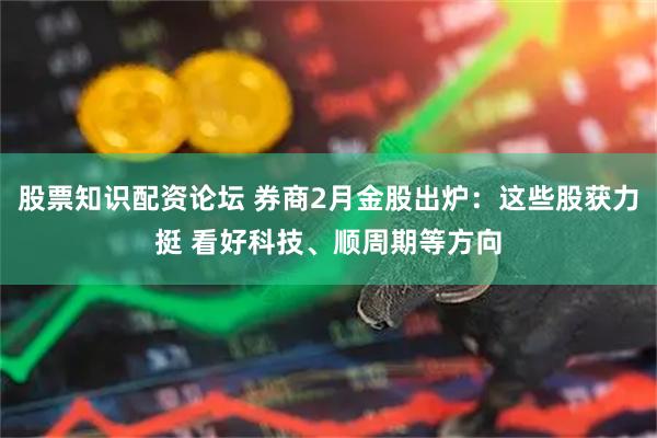 股票知识配资论坛 券商2月金股出炉：这些股获力挺 看好科技、顺周期等方向