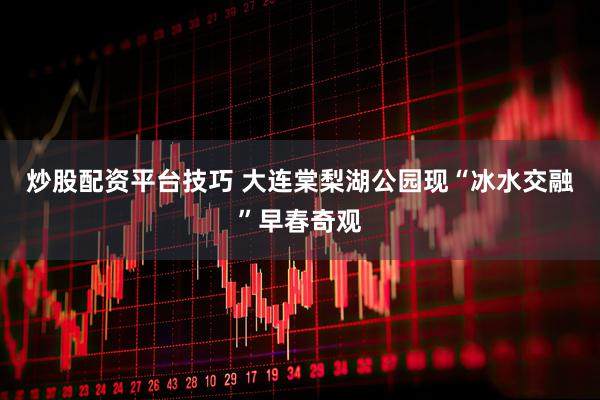 炒股配资平台技巧 大连棠梨湖公园现“冰水交融”早春奇观