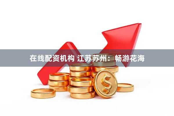 在线配资机构 江苏苏州：畅游花海